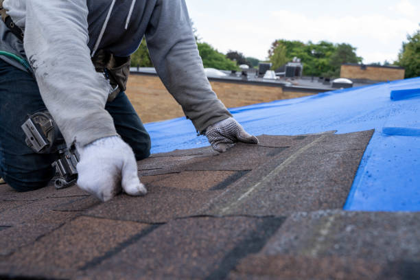 Best New Roof Installation  in Columbus, NC
