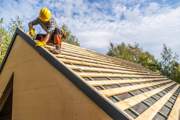 Best Roof Gutter Cleaning  in Columbus, NC